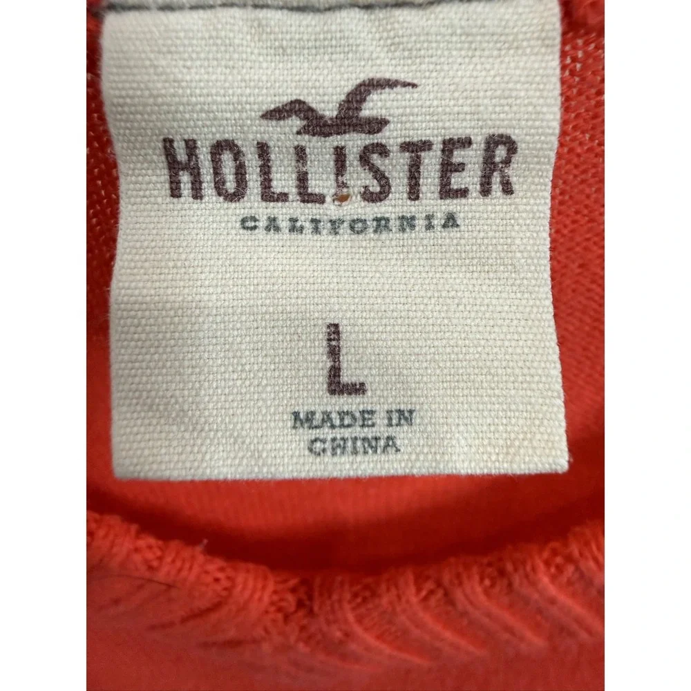 Hollister V-Neck Sweater Men's L Orange Long Sleeve Seagull Logo Knit